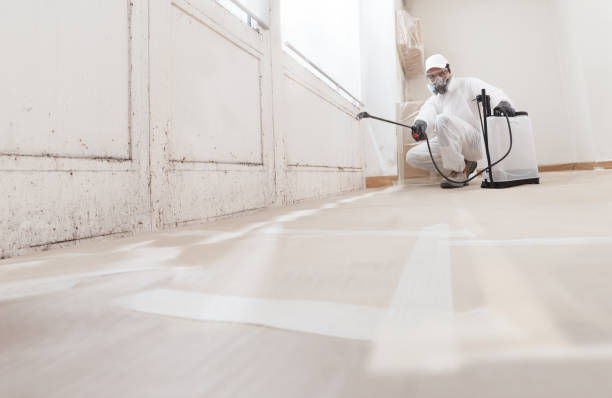 24/7 Emergency Commercial Mold Remediation experts in Seminole, TX