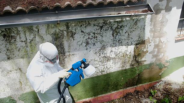Trusted Crawl Space Mold Removal service in Seminole, TX - Cheap Mold Removal